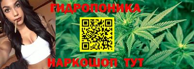 твердый Новокубанск